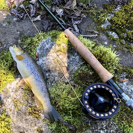 De Standing A Apartment *