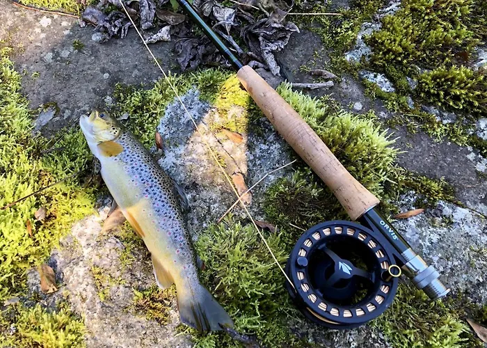 De Standing à Appartamento *